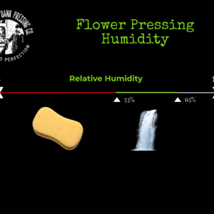 Flower Rosin Pressing Humidity