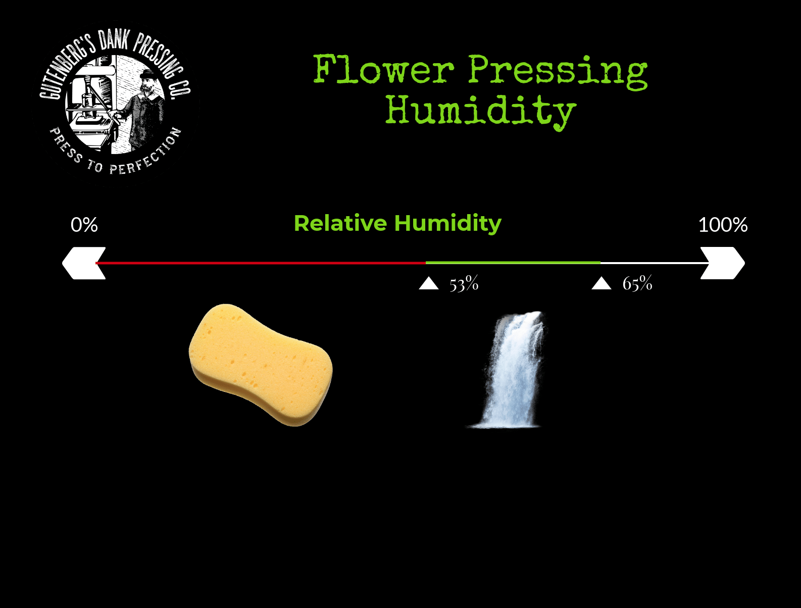 Flower Rosin Pressing Humidity Gutenbergs Dank Pressing Co.