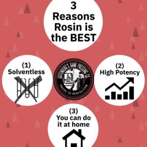 3 Reasons Why Rosin Is The Best Concentrate