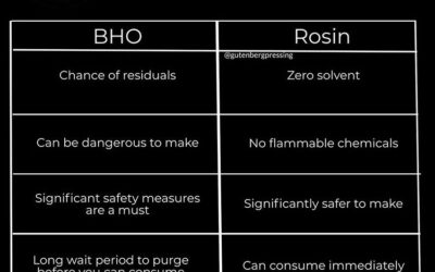 Differences Between BHO vs Rosin