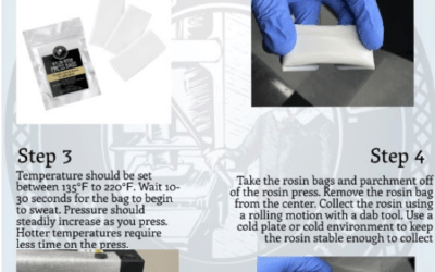 The Complete Guide: How to Press Hash Rosin