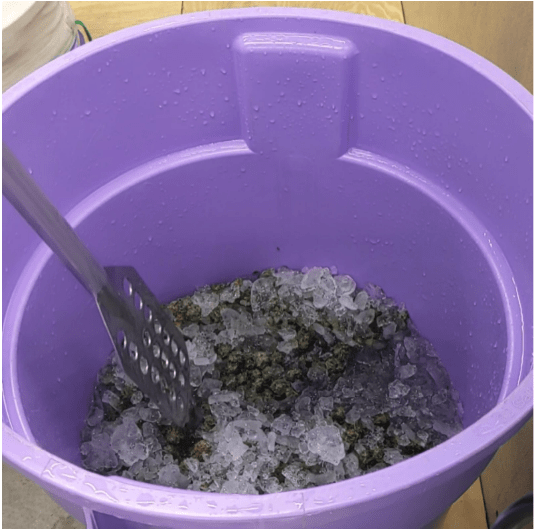 washing bubble hash
