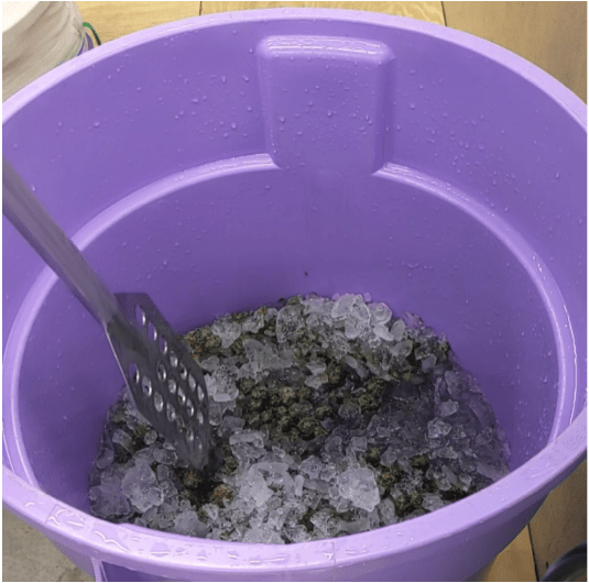 How To Pre Soak Fresh or Cured Material Before Washing for Ice