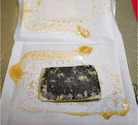 Pressing Rosin With A Hair Straightener | Gutenberg Pressing