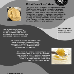 Live Resin vs Live Rosin Simplified