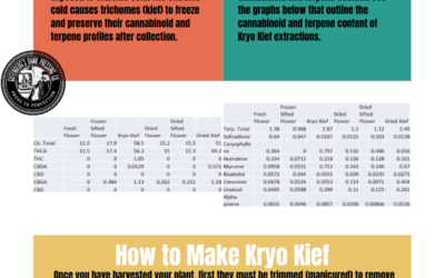 Discover A New Solventless Product – What is Kryo Kief?