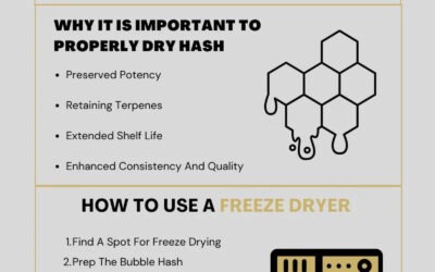 How to Use Harvest Right Freeze Dryer