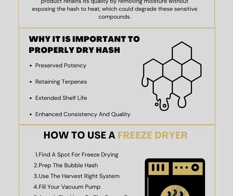 How to Use Harvest Right Freeze Dryer